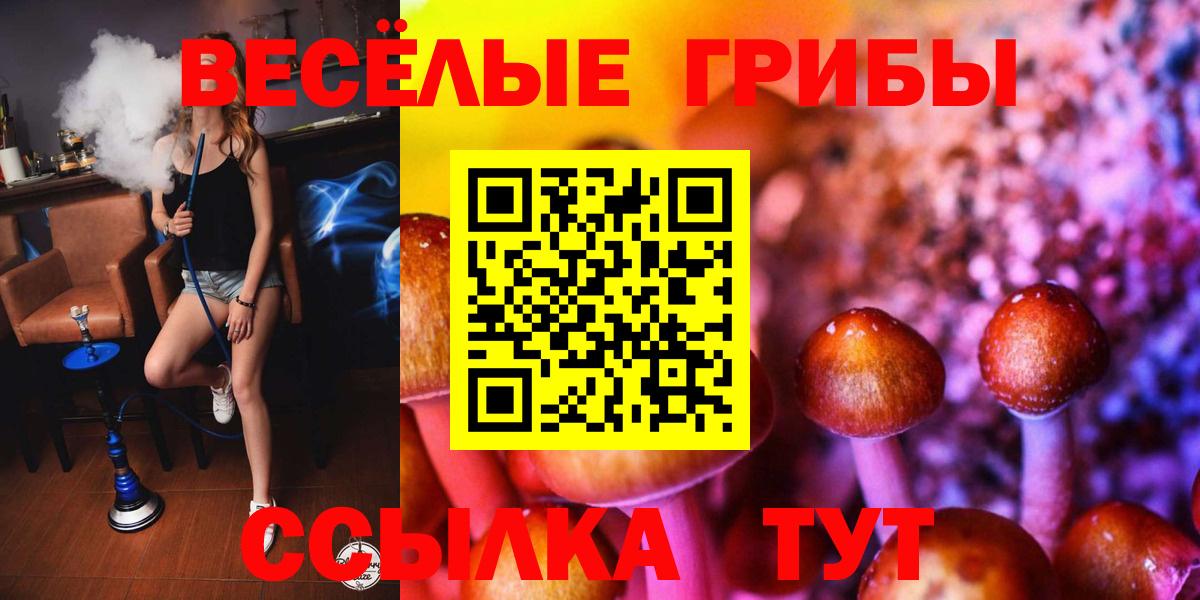 где купить наркоту  Вход с VPN  Ханты-Мансийск  Псилоцибиновые грибы прущие грибы 