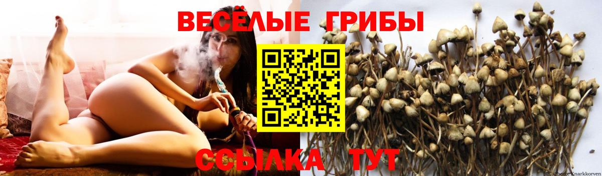 Галлюциногенные грибы мухоморы Ханты-Мансийск